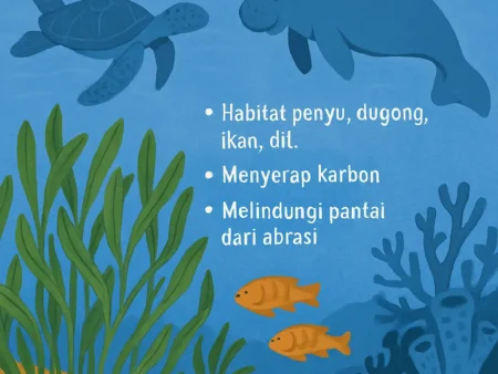 Ekosistem Padang Lamun dan Perannya