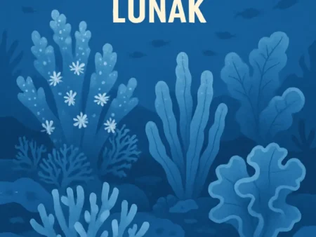 Mengenal Terumbu Karang Lunak