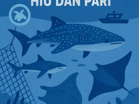 Konservasi Hiu dan Pari